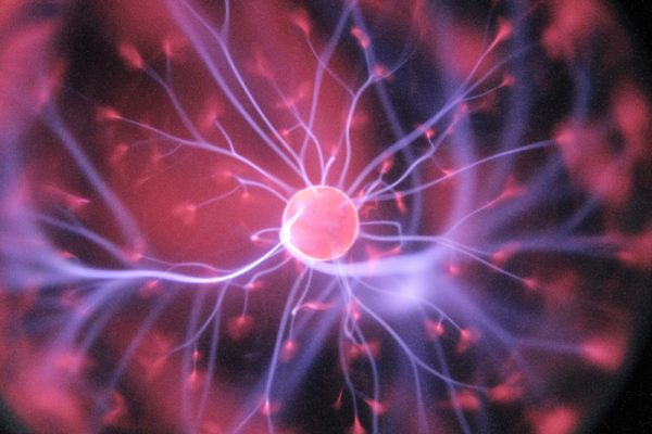 Yangi biofizikaviy tadqiqotlar natijalari e’lon qilindi